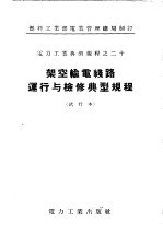 架空输电线路运行与检修典型规程 试行本