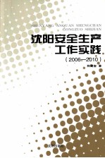 沈阳安全生产工作实践 2006-2010