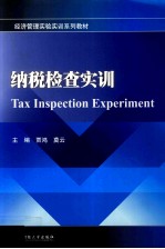 纳税检查实训