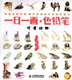 一日一画·色铅笔 可爱动物 彩印