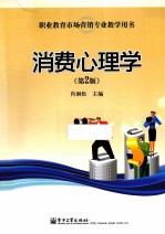 消费心理学 双色 第2版