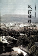 风雨征程 下