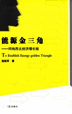 能源金三角 同构西北经济增长极