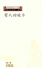 中国作家前沿丛书小说卷 有人回故乡