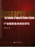 产业集群系统演化研究