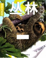 透视与发现 丛林
