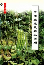 豆类蔬菜栽培与管理