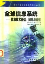全球信息系统 信息技术基础、网络与通信