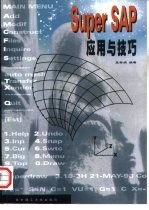 Super SAP应用与技巧