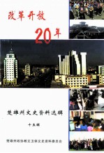 楚雄州文史资料选辑 第15辑 改革开放二十年