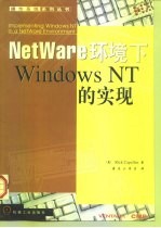 NetWare环境下Windows NT的实现