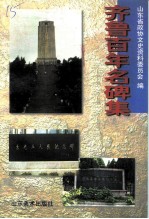 齐鲁百年名碑集