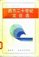 社会文化系统 西方二十世纪文论选 第4卷