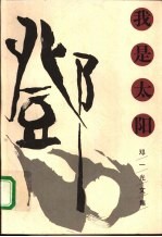 我是太阳