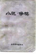 小说·争鸣