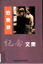罗贵波纪念文集
