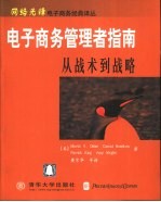 电子商务管理者指南 从战术到战略
