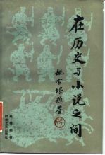 在历史与小说之间