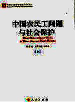 中国农民工问题与社会保护 上
