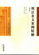 刑法条文案例精解 第2版