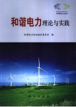 和谐电力 理论与实践