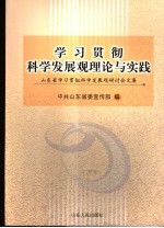 学习贯彻科学发展观理论与实践 山东省学习贯彻科学发展观研讨会文集