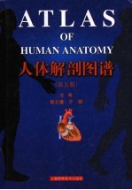 人体解剖图谱 第5版