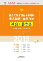 社会工作实务 中级