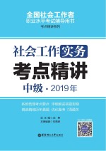 社会工作实务(中级)2019年考点精讲