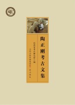 陶正刚考古文集