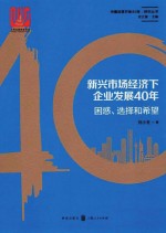 新兴市场经济下企业发展40年 困惑、选择和希望