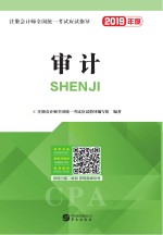 注册会计师全国统一考试应试指导 审计