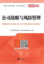 注册会计师全国统一考试应试指导 公司战略与风险管理