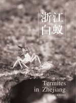 浙江白蚁