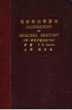 局部解剖学图解