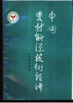 中国农村能源技术经济