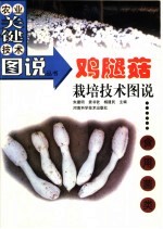 鸡腿菇栽培技术图说