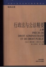行政法与公法精要 上