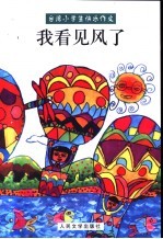 我看见风了