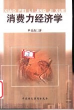 消费力经济学