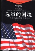 选举的困境 民选制度及宪政改革批判