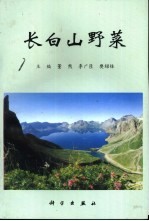 长白山野菜