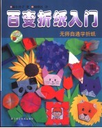 百变折纸入门 无师自通学折纸