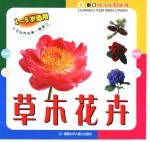 草木花卉