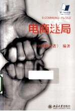 电商迷局 第一财经出版