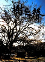 Witnesses to time The magnificent trees of Beijing