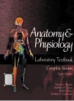 anatomy & physiology laboratory textbook eighth edition