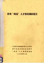 贵州“两高”人才情况调研报告