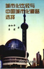 城市化比较与中国城市化道路选择 中国城市化发展战略研究