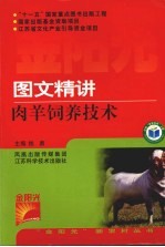图文精讲肉羊饲养技术